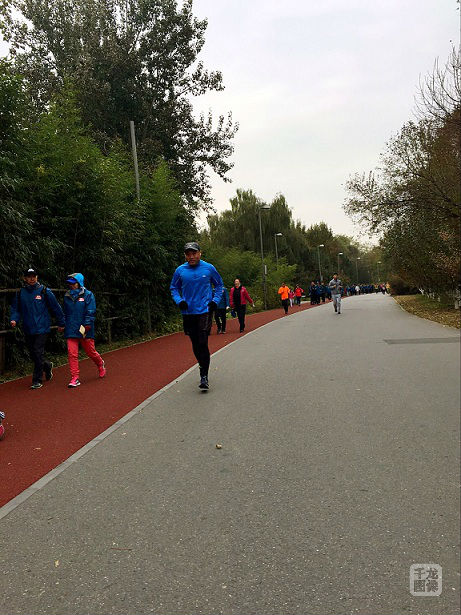 qlzxl201611061250001234567890123456789012345678901234