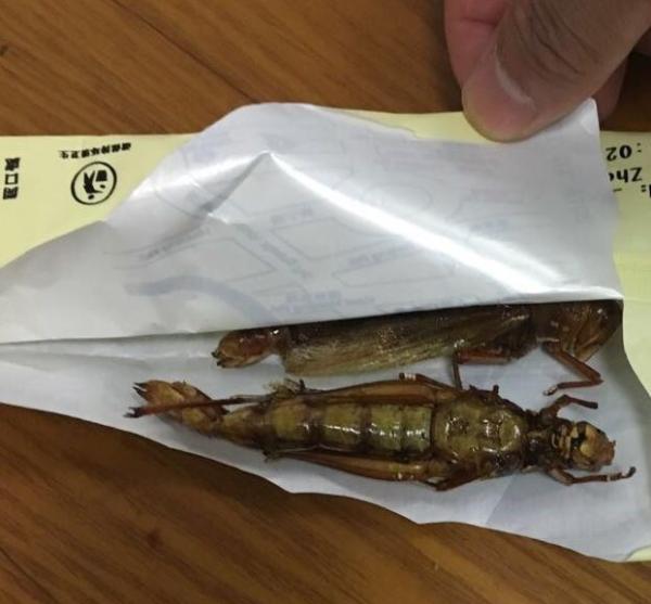 吃油炸蚂蚱险丢命 用生命解读了民以食为天(图)