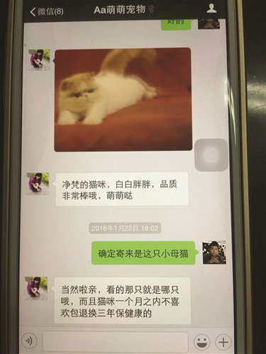 女子8000元网购加菲猫收到土猫