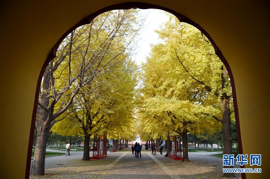 1119890788_14788213164251n