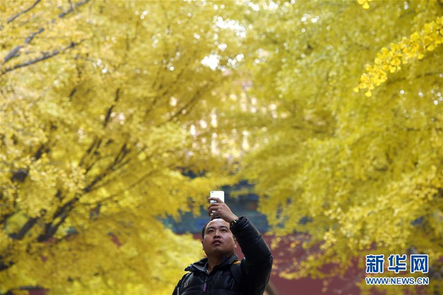 1119890788_14788213167331n