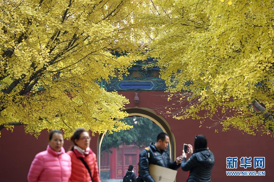 1119890788_14788213167851n