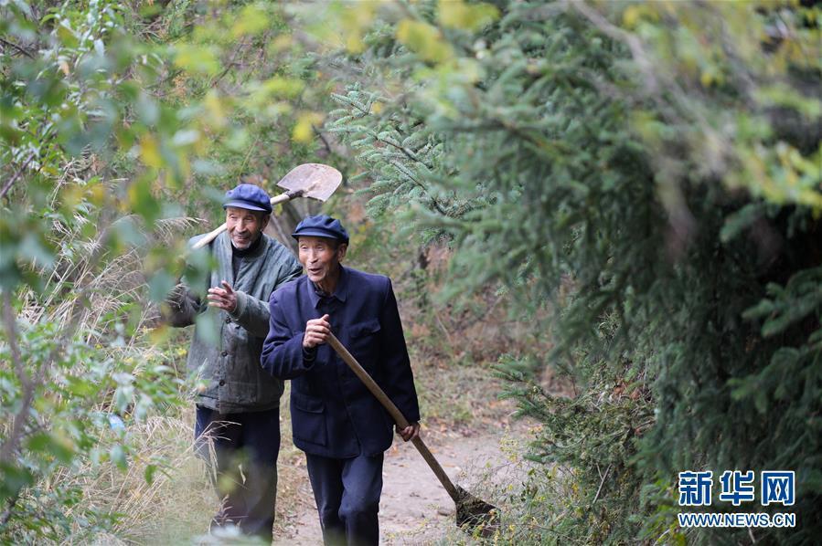 68岁双胞胎兄弟用48年种400亩山林