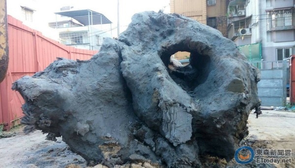 工地挖出30米5000年神木：无价之宝