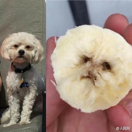 食堂现砂锅大嘴猴一份9元 大学食堂中国第九大菜系大盘点