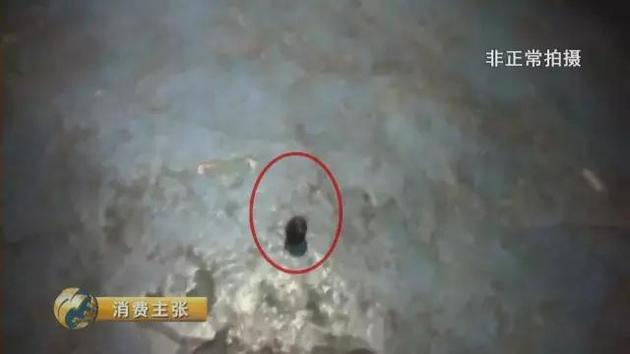 想扔就扔、想拆就拆.。。你的“双11”宝贝被这样快递！想扔就扔、想拆就拆.。。你的“双11”宝贝被这样快递！