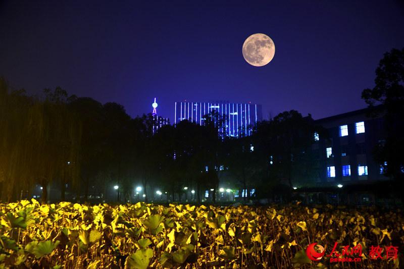 四川大学 摄影 邱超