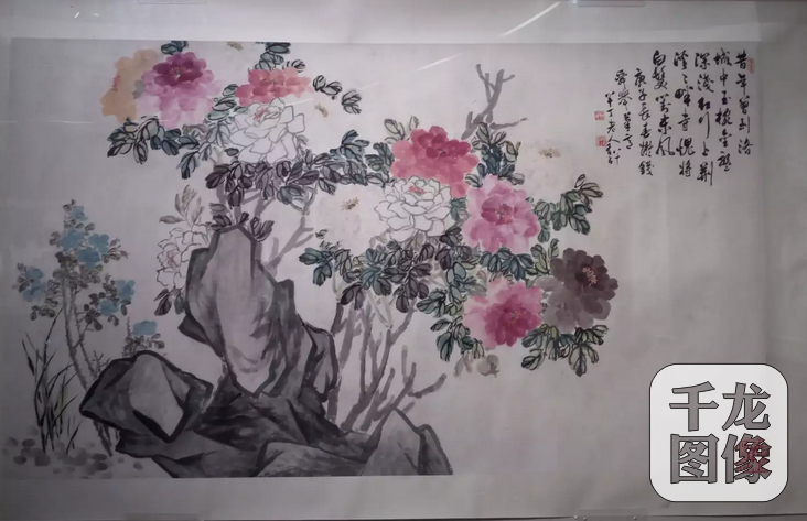 牡丹月季 1962