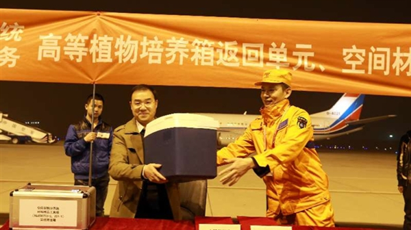 天宫二号部分实验样品回收 太空种子开花结荚