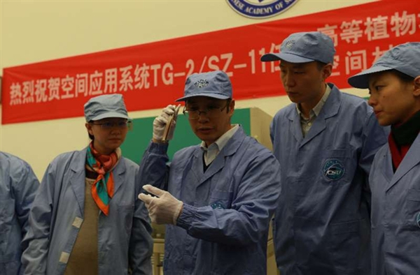 天宫二号部分实验样品回收 太空种子开花结荚