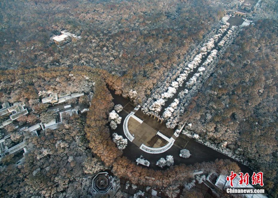 雪后南京银装素裹 航拍雪景美不胜收
