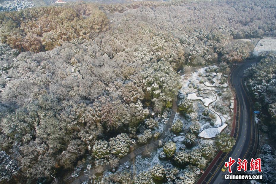 雪后南京银装素裹 航拍雪景美不胜收
