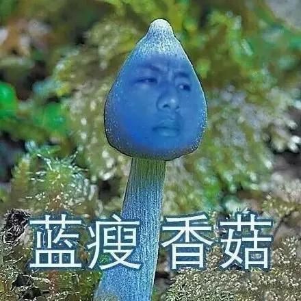 流行研究所：2016年度网络热词你全懂吗？