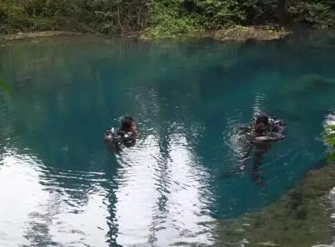 花鳗鲡是鳗鲡类中体型较大的一种，体长一般为331-615毫米，体重250克左右，但最重的可达30千克以上。身体粗壮，腹鳍前的躯体呈圆筒，后部稍侧扁，总体看来身体延长呈棒状，很像硕大的“鳝鱼”，俗称为“鳝王”，是国家二级保护野生动物。