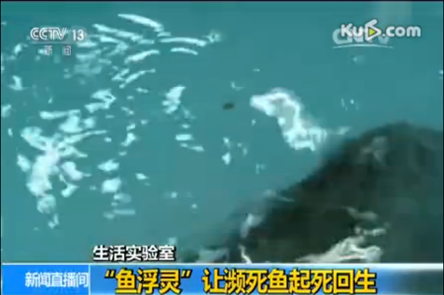 QQ图片20161129144441