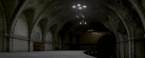 看《神奇动物在哪里》之前,必须知道的50件事