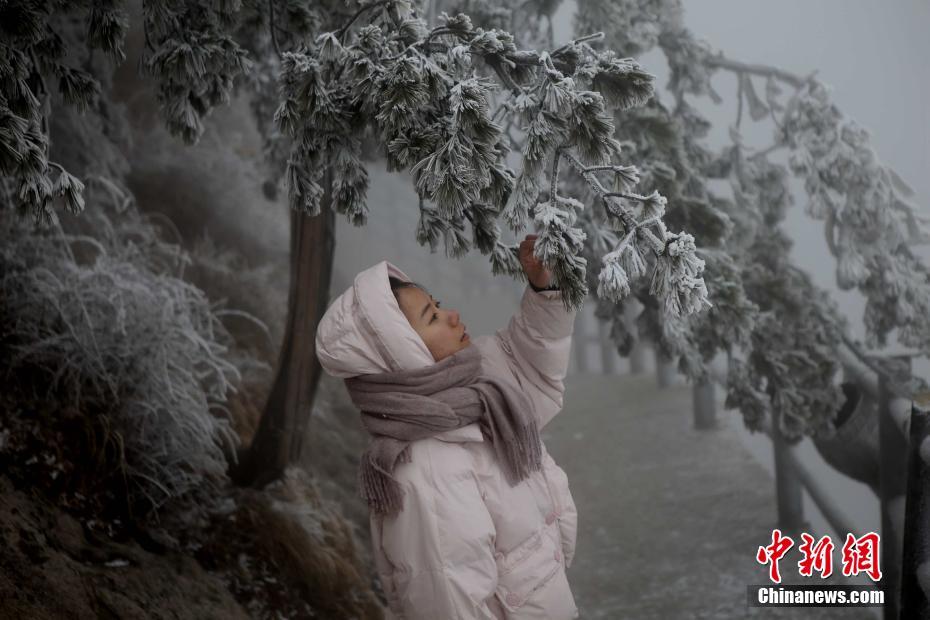 河南老君山现雾凇景观玉树琼枝美如画