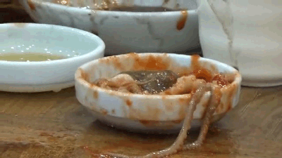世界上最重口的美食都在这里 第一个就恶心到我了