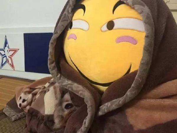 【玩儿法】冬天雾霾不出门 怎么舒服的“瘫”一天？