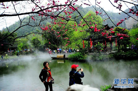 桃花_副本