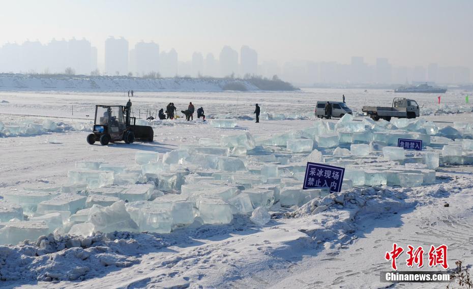 探访世界冰雪名城哈尔滨的“采冰匠”