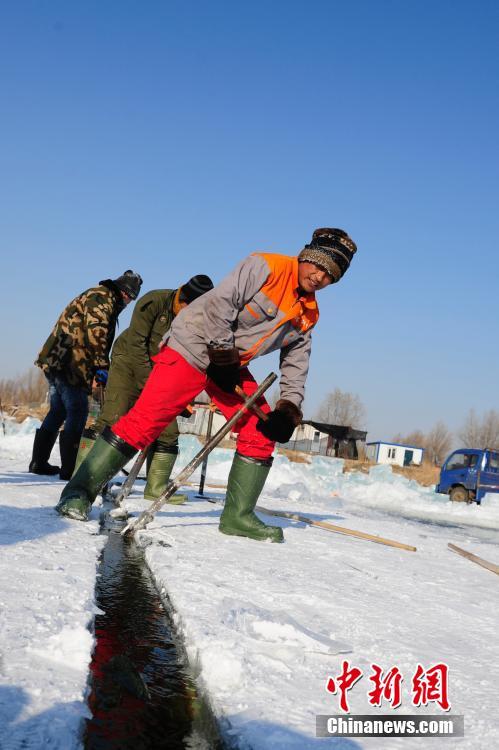 探访世界冰雪名城哈尔滨的“采冰匠”