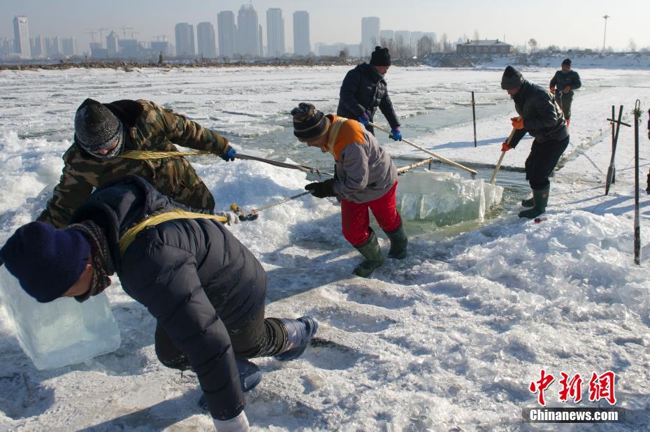 探访世界冰雪名城哈尔滨的“采冰匠”