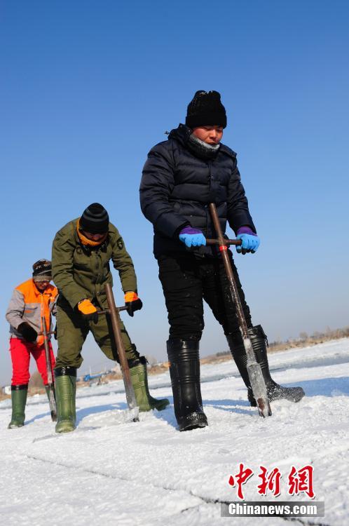 探访世界冰雪名城哈尔滨的“采冰匠”