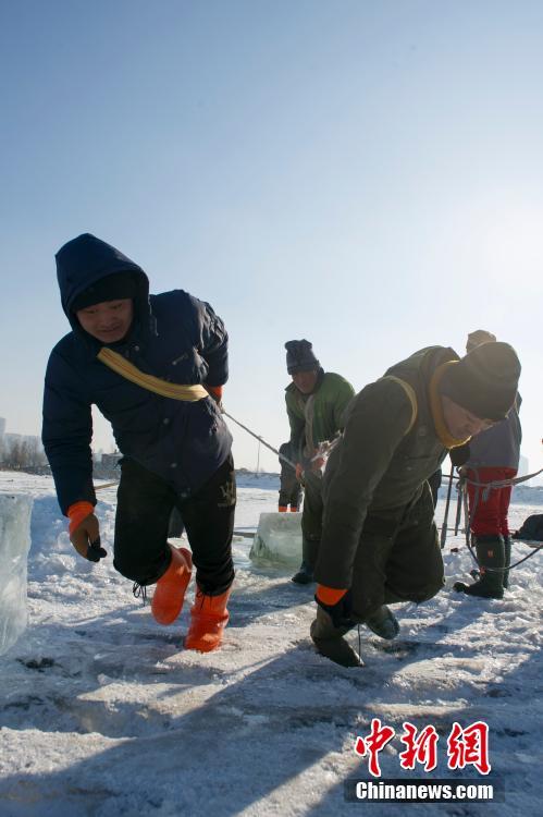 探访世界冰雪名城哈尔滨的“采冰匠”