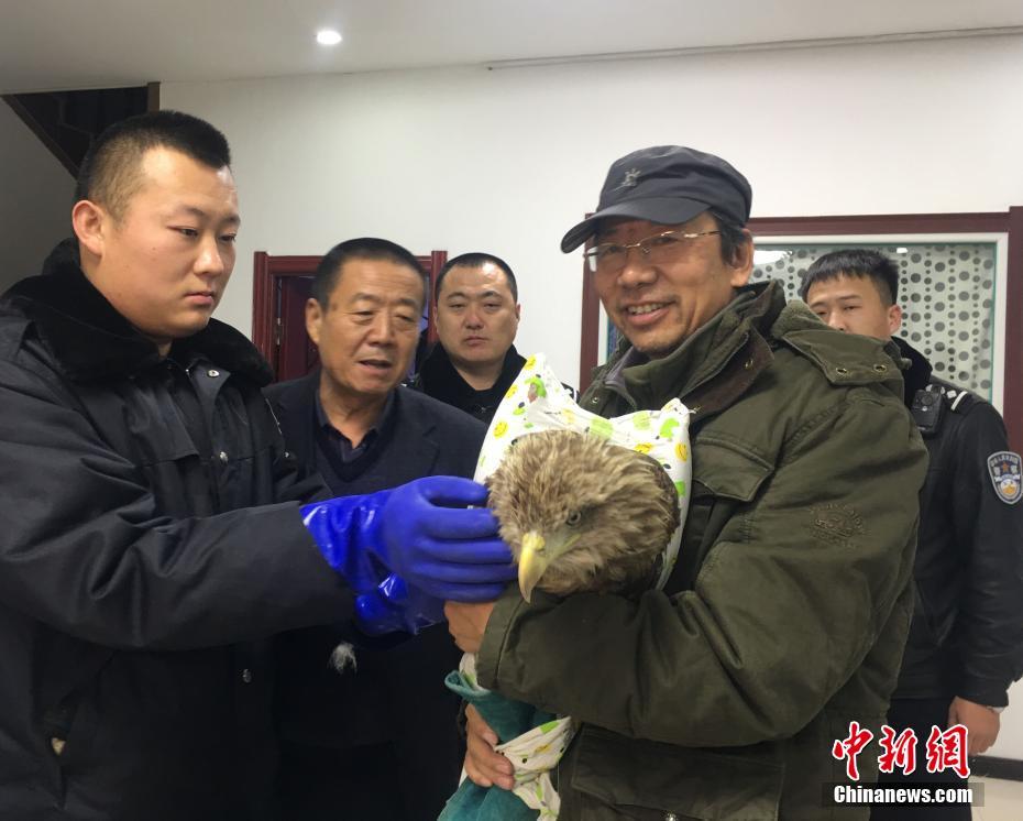 海雕遇险失联 沈阳志愿者携犬跨省营救