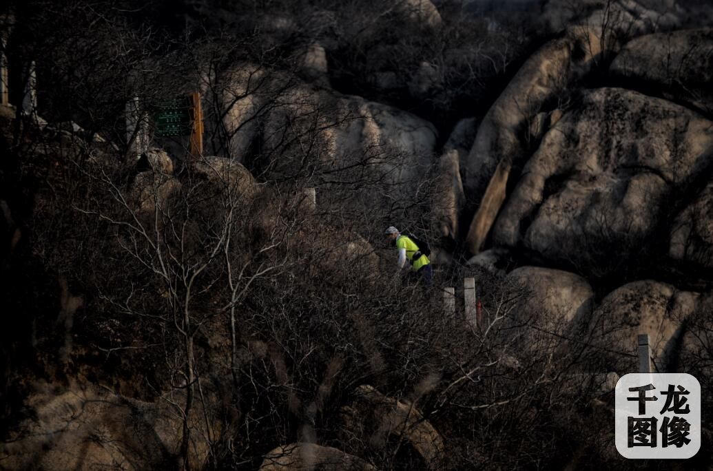 12月17日，2016国际越野跑挑战赛在凤凰岭结束。图为运动员在比赛中。千龙网发（主办方供图）