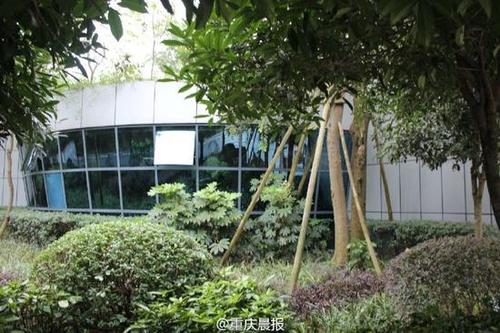 重庆现“透明”公厕