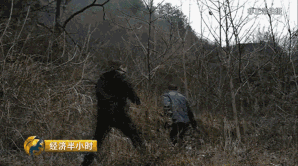 央视曝农补黑幕：村干部冒领补贴300万元
