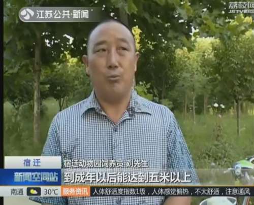 视频截图