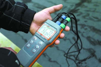 90后小伙大兴承包千亩地养殖锦鲤 被称最年轻