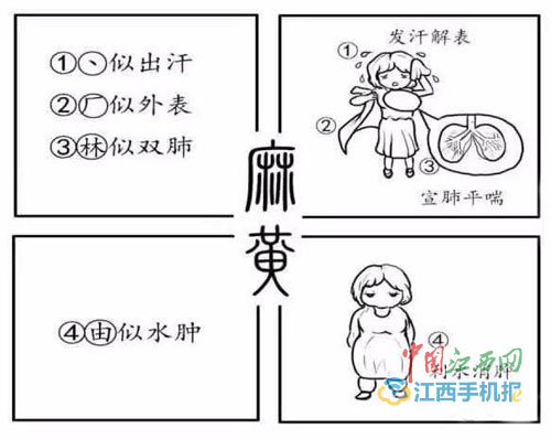中药竟可以这样学！高校中药漫画书受热捧