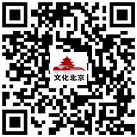 wwzjy20170119009