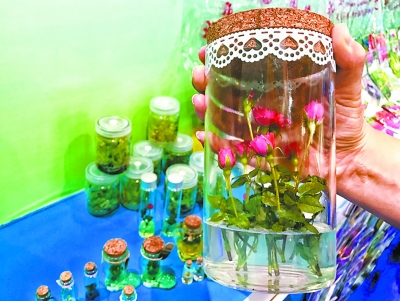 北京科技创意农业惊艳春城-千龙网·中国首都