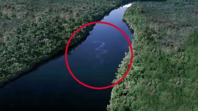 摄影师真实记录，来自海洋深处的危险(2)-千龙网·中国首都网