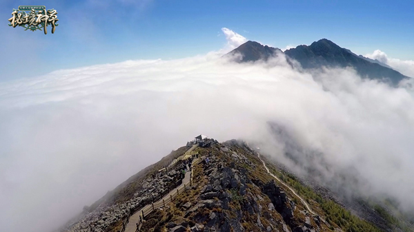 播好评不绝!网友:最走心纪录片-千龙网·中国首
