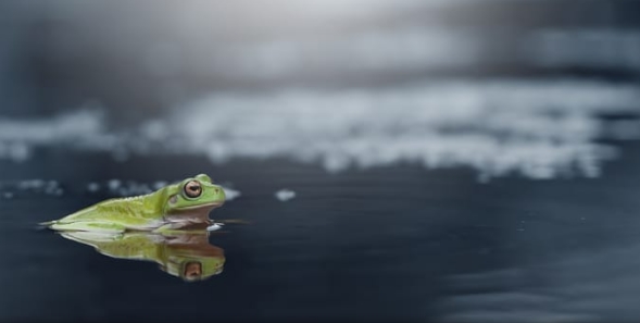 1486433364377.png