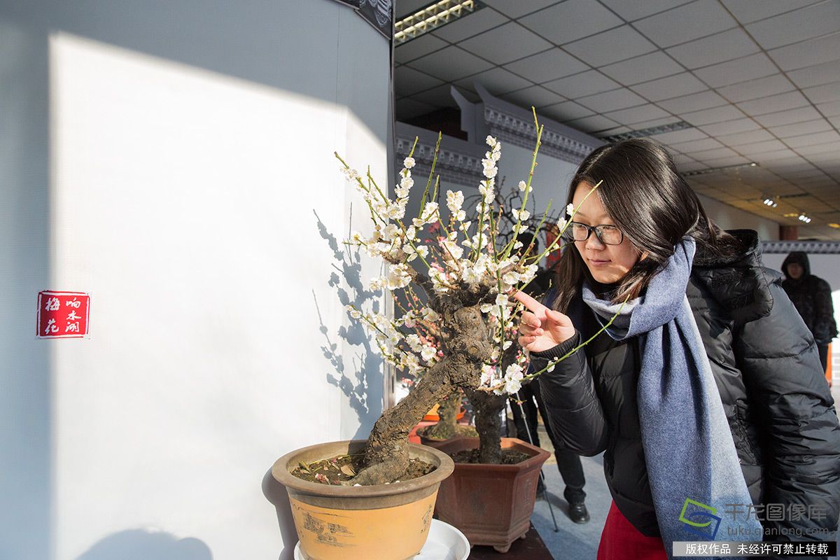 北京响水湖喊你来游长城赏梅花!--千龙网·中国