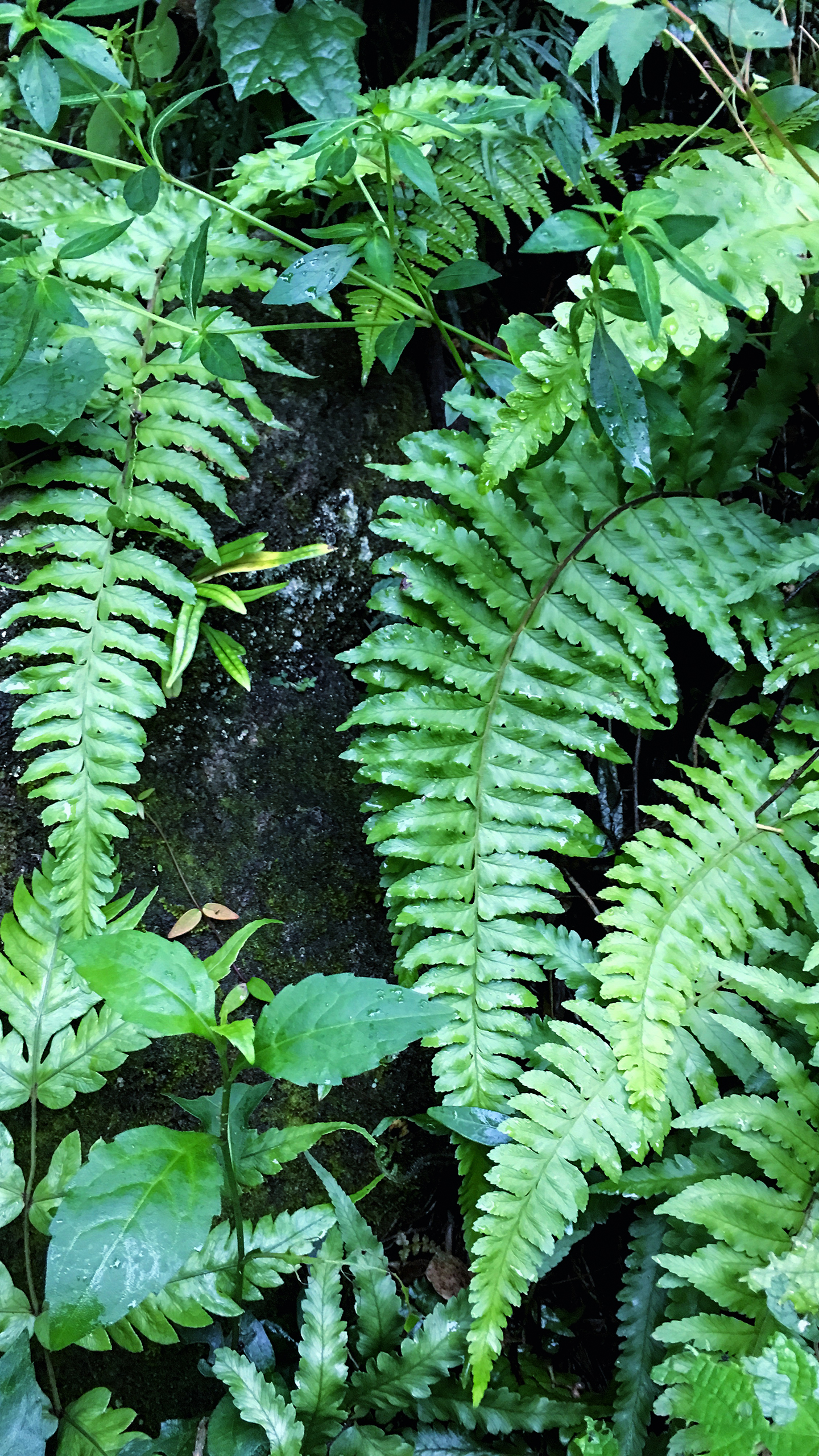 在云海里体验一把“醉氧”-千龙网·中国首都网