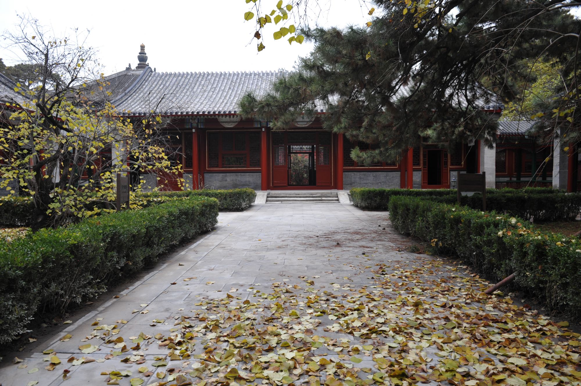 集团古建分公司修缮的戒台寺 (1)
