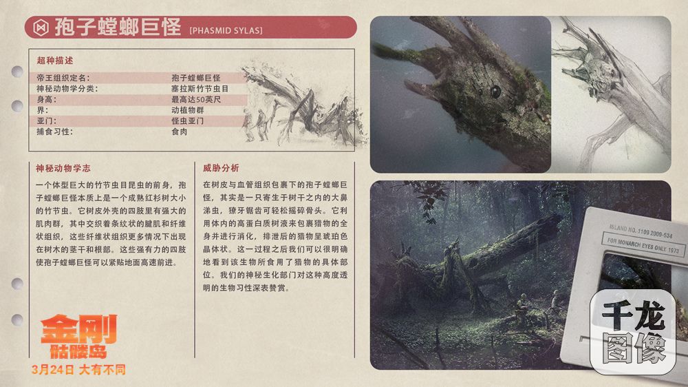 孢子螳螂巨怪档案卡