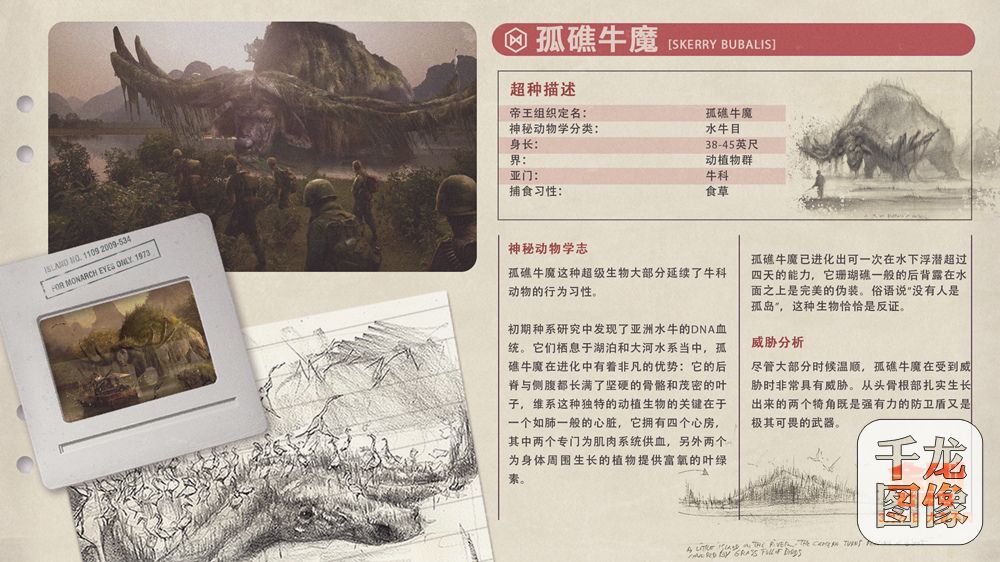 孤礁牛魔档案卡
