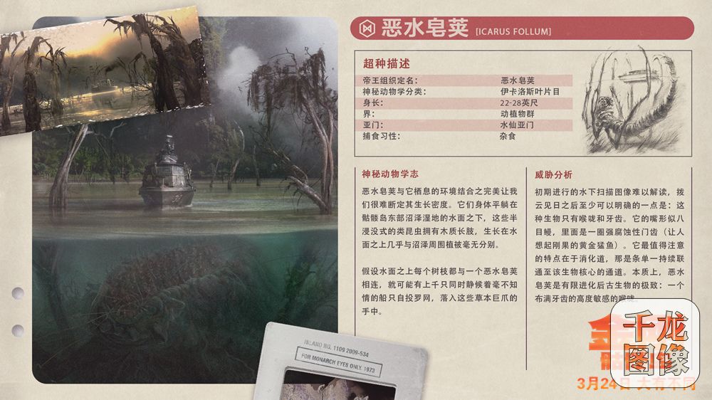 恶水皂荚档案卡