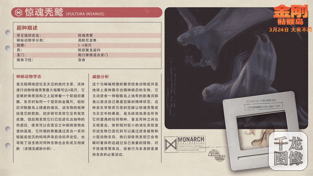 惊魂秃鹫档案卡