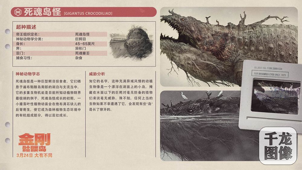 死魂岛怪档案卡