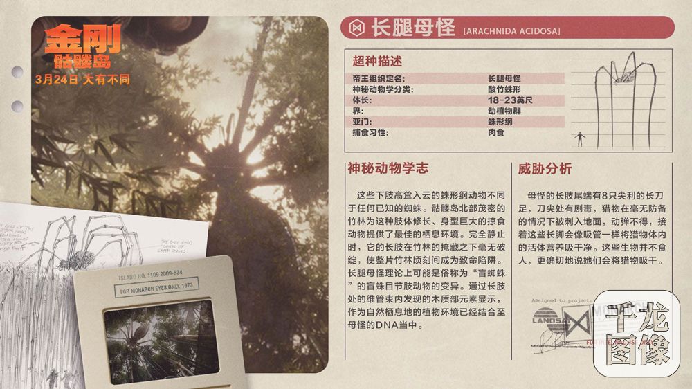 长腿母怪档案卡